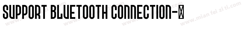 SUPPORT BLUETOOTH CONNECTION字体转换